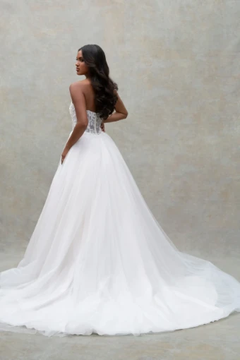 Live’e Collection #1 thumbnail