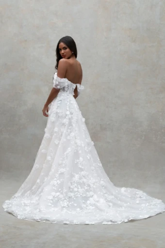 Live’e Collection #1 thumbnail