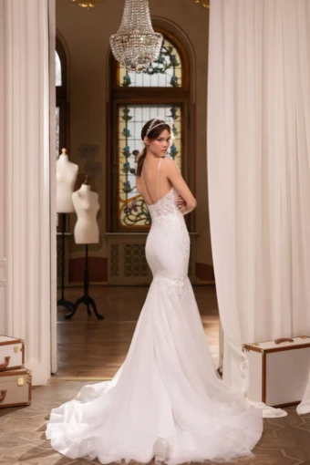 Live’e Collection #2 thumbnail