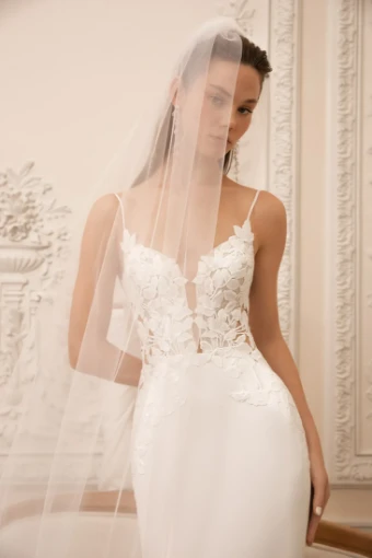 Live’e Collection #2 thumbnail