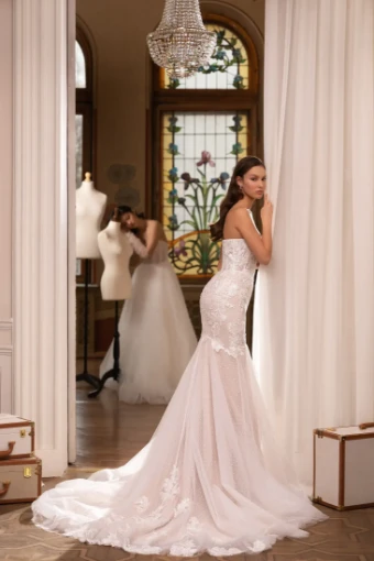 Live’e Collection #1 thumbnail